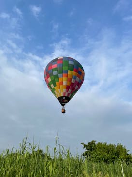 ウイニングバルーンクラブに投稿された画像（2022/5/24）