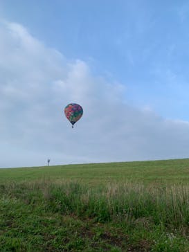 ウイニングバルーンクラブに投稿された画像（2022/5/24）
