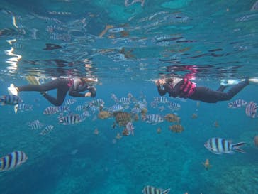 武藤潜水に投稿された画像（2022/5/24）