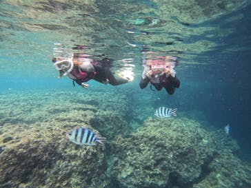 武藤潜水に投稿された画像（2022/5/24）