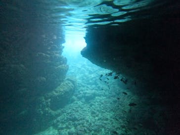 武藤潜水に投稿された画像（2022/5/24）