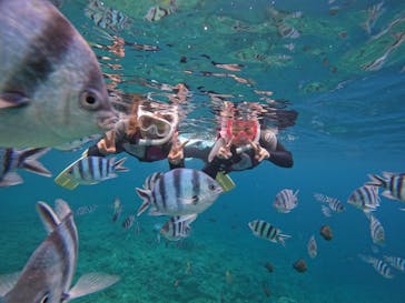 武藤潜水に投稿された画像（2022/5/24）