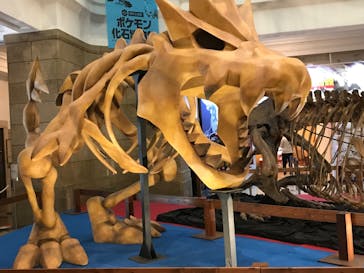国立科学博物館　特別企画展「ポケモン化石博物館」に投稿された画像（2022/5/24）