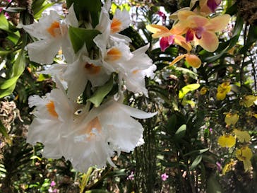 チームラボプラネッツ TOKYO DMMに投稿された画像（2022/5/24）