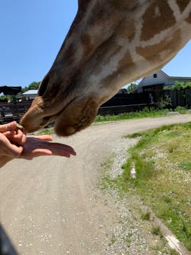 那須サファリパークに投稿された画像（2022/5/24）