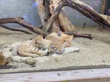 神戸どうぶつ王国に投稿された画像（2022/5/24）