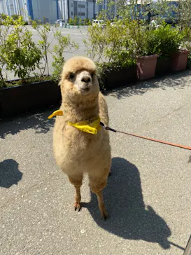 神戸どうぶつ王国に投稿された画像（2022/5/24）