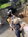 伊豆シャボテン動物公園に投稿された画像（2022/5/24）