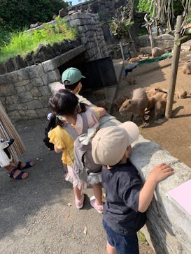 伊豆シャボテン動物公園に投稿された画像（2022/5/24）