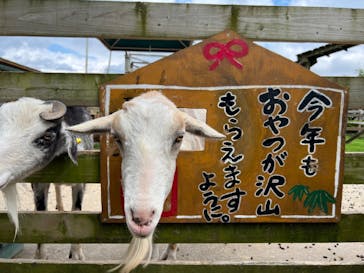 まかいの牧場に投稿された画像（2022/5/24）