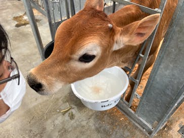 まかいの牧場に投稿された画像（2022/5/24）