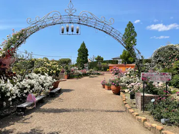 ひらかたパークに投稿された画像（2022/5/24）