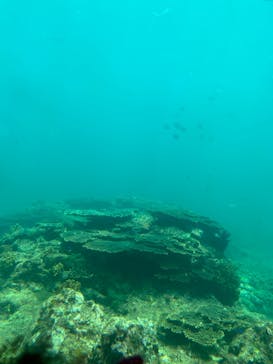 串本海中公園水族館に投稿された画像（2022/5/24）