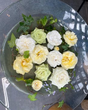 いばらきフラワーパークに投稿された画像（2022/5/24）