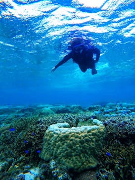 宮古島 ADVENTURE PiPi（ミヤコジマ アドベンチャー ピピ）に投稿された画像（2022/5/24）