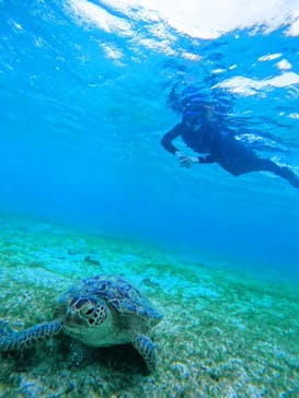 宮古島 ADVENTURE PiPi（ミヤコジマ アドベンチャー ピピ）に投稿された画像（2022/5/24）