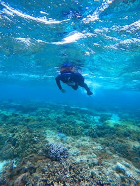 宮古島 ADVENTURE PiPi（ミヤコジマ アドベンチャー ピピ）に投稿された画像（2022/5/24）