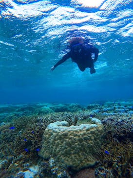 宮古島 ADVENTURE PiPi（ミヤコジマ アドベンチャー ピピ）に投稿された画像（2022/5/24）