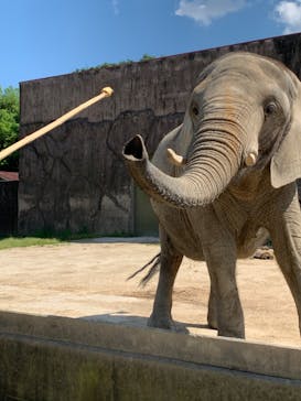 東武動物公園に投稿された画像（2022/5/24）