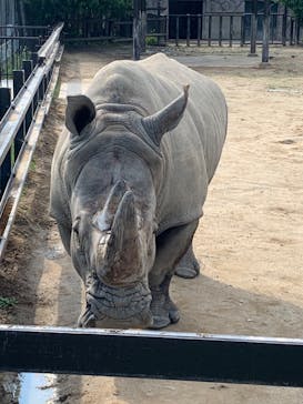 東武動物公園に投稿された画像（2022/5/24）