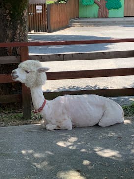 東武動物公園に投稿された画像（2022/5/24）