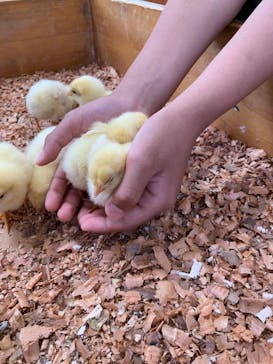 東武動物公園に投稿された画像（2022/5/24）