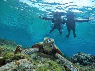 宮古島 ADVENTURE PiPi（ミヤコジマ アドベンチャー ピピ）に投稿された画像（2022/5/25）