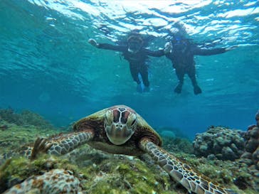 宮古島 ADVENTURE PiPi（ミヤコジマ アドベンチャー ピピ）に投稿された画像（2022/5/25）