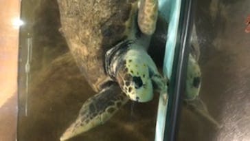 マリンワールド海の中道に投稿された画像（2022/5/25）