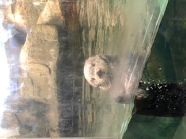 マリンワールド海の中道に投稿された画像（2022/5/25）