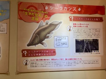 国立科学博物館　特別企画展「ポケモン化石博物館」に投稿された画像（2022/5/25）