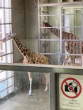 よこはま動物園ズーラシアに投稿された画像（2022/5/25）