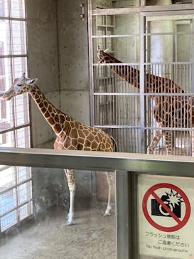 よこはま動物園ズーラシアに投稿された画像（2022/5/25）