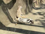 よこはま動物園ズーラシアに投稿された画像（2022/5/25）
