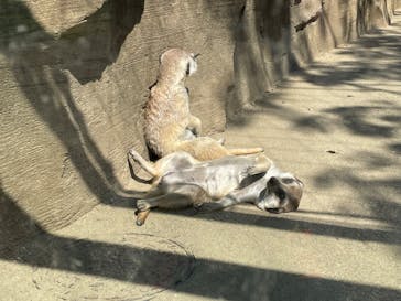 よこはま動物園ズーラシアに投稿された画像（2022/5/25）