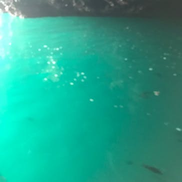 矢越クルーズに投稿された画像（2022/5/25）