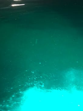 矢越クルーズに投稿された画像（2022/5/25）