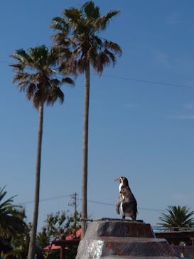 南知多ビーチランド＆南知多おもちゃ王国に投稿された画像（2022/5/25）
