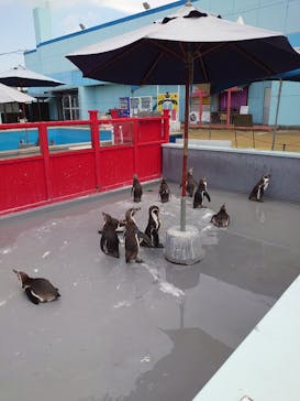 南知多ビーチランド＆南知多おもちゃ王国に投稿された画像（2022/5/25）