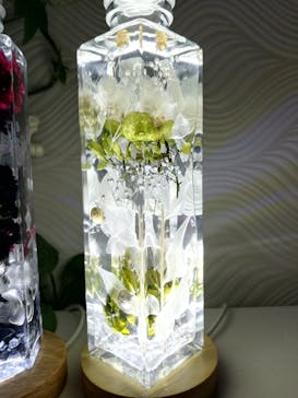 ずこうしつ〜sugamo〜に投稿された画像（2022/5/25）