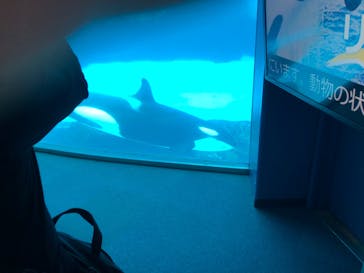 名古屋港水族館に投稿された画像（2022/5/25）