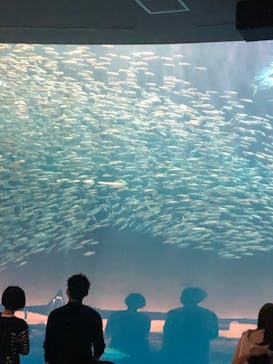 名古屋港水族館に投稿された画像（2022/5/25）