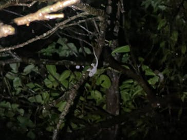 宮古島 ADVENTURE PiPi（ミヤコジマ アドベンチャー ピピ）に投稿された画像（2022/5/25）