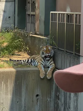 天王寺動物園に投稿された画像（2022/5/25）