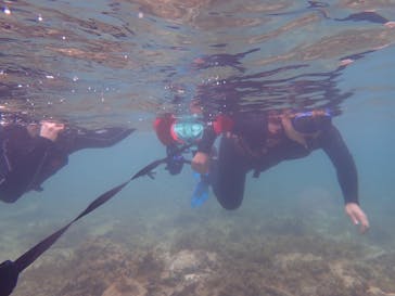 石垣島 ADVENTURE PiPi（イシガキジマアドベンチャーピピ）に投稿された画像（2022/5/25）