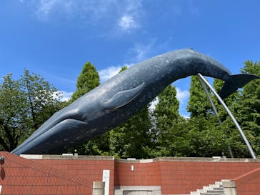 国立科学博物館　特別企画展「ポケモン化石博物館」に投稿された画像（2022/5/26）