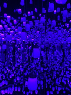 森ビル デジタルアート ミュージアム：エプソン チームラボボーダレスに投稿された画像（2022/5/26）