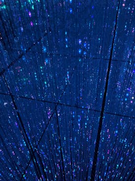 森ビル デジタルアート ミュージアム：エプソン チームラボボーダレスに投稿された画像（2022/5/26）