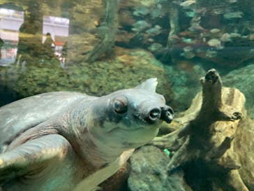 名古屋港水族館に投稿された画像（2022/5/26）