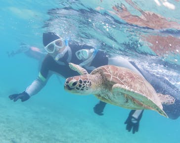 アマミエンシスに投稿された画像（2022/5/26）